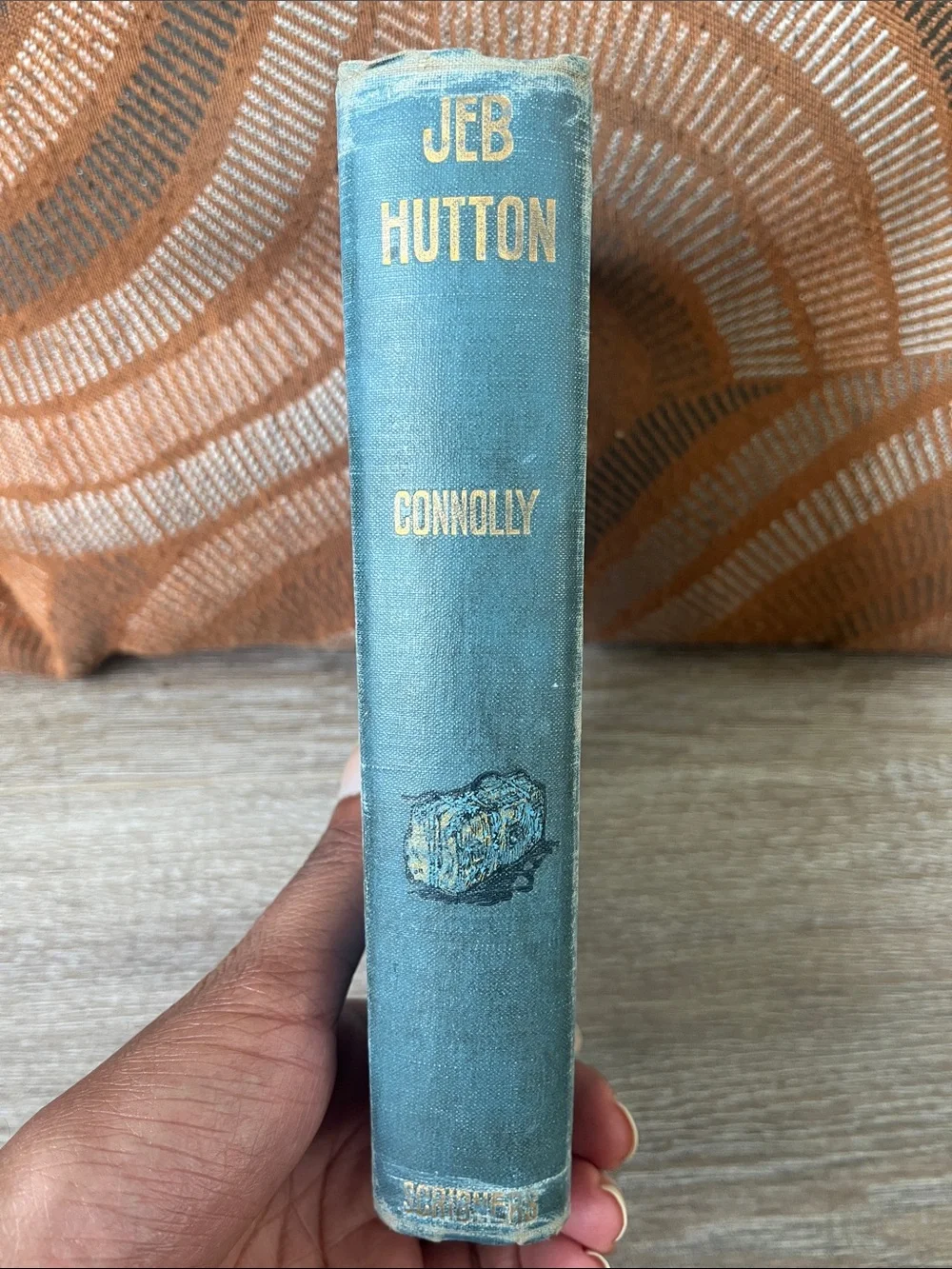 Jeb Hutton The Story of a Georgia Boy by James B. Connolly 1902
